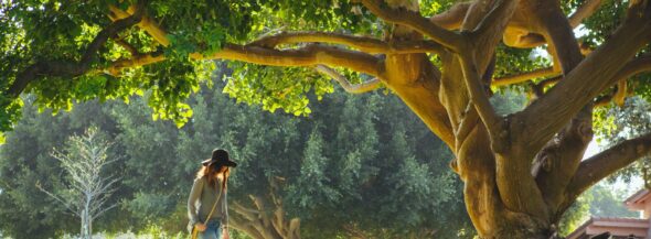 Do I Have To Share My Pension After Divorce?
