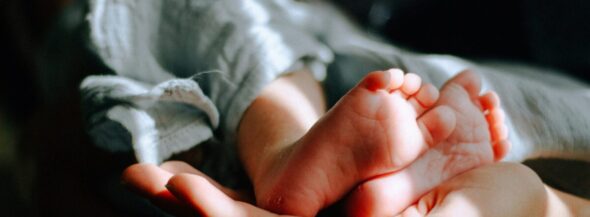 Surrogacy Law: How To Become A Parent Via Surrogacy