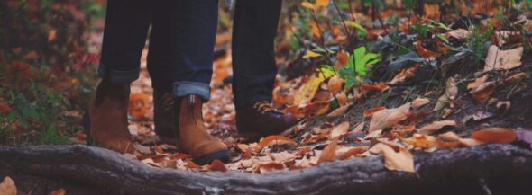 Financial Rights Of Unmarried