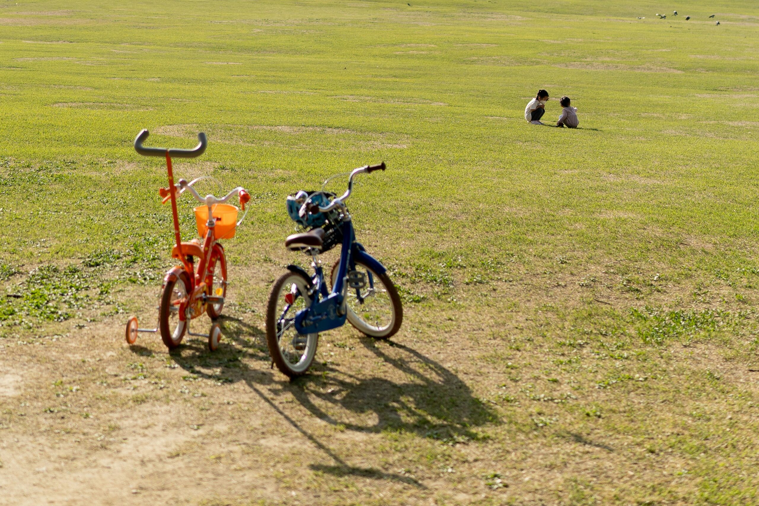 Benefits of Mediation for Co parenting scaled