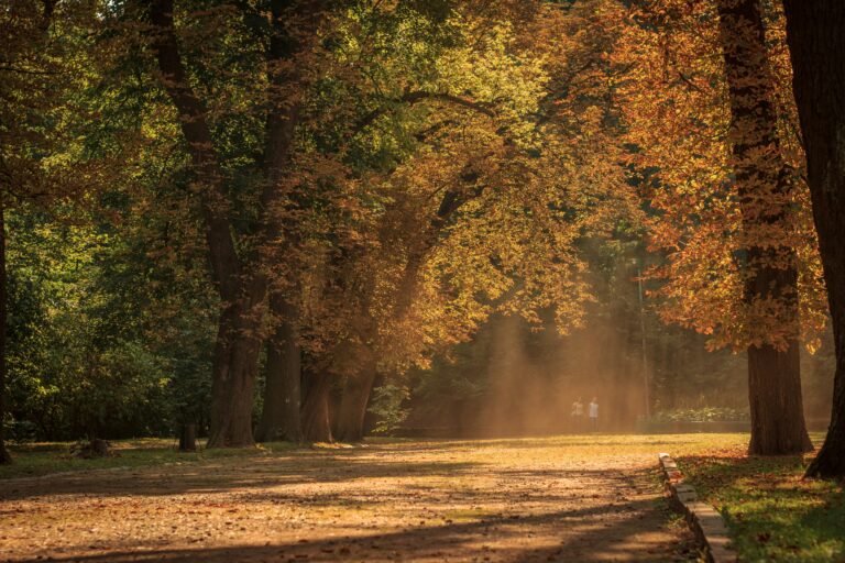 Protecting Your Inheritance with a Prenup