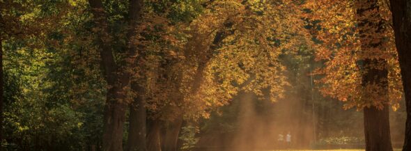 Protecting Your Inheritance with a Prenup scaled