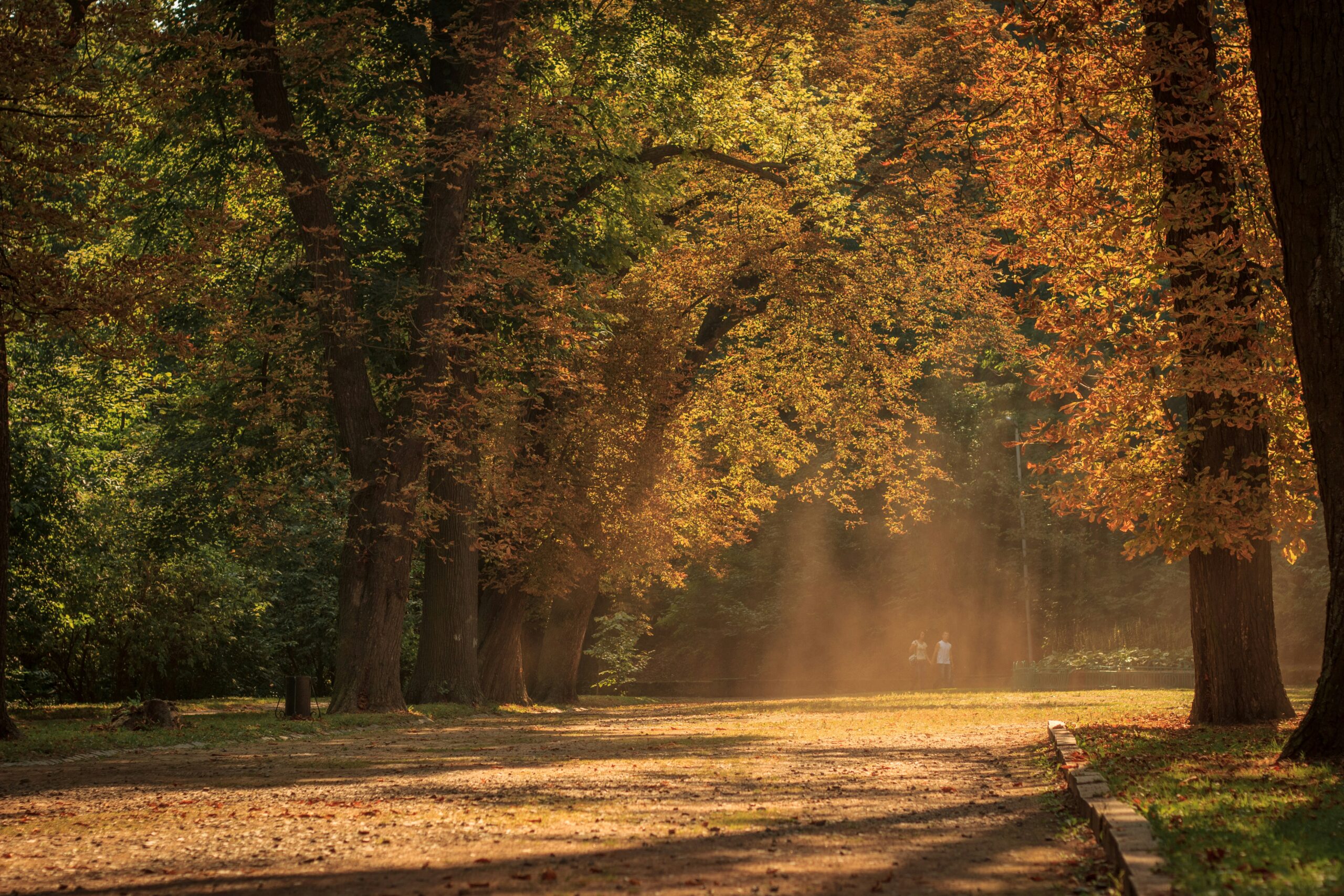 Protecting Your Inheritance with a Prenup scaled